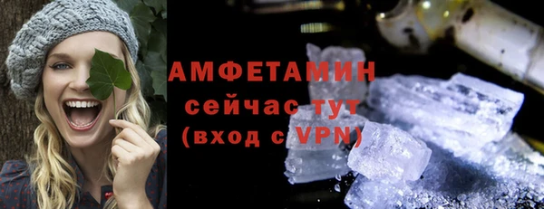 индика Новозыбков