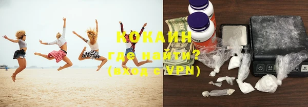 индика Новозыбков