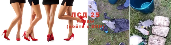 индика Новозыбков