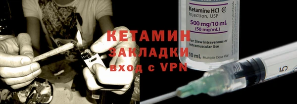 индика Новозыбков