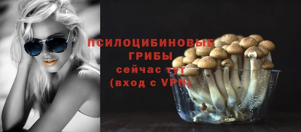 ешки Нефтекумск