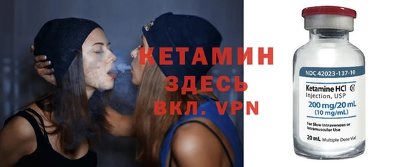 индика Новозыбков