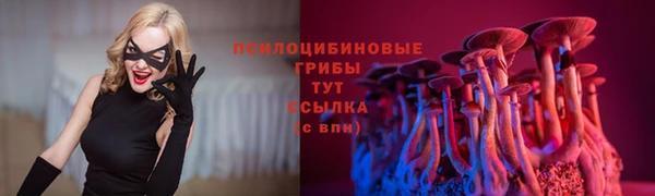 стаф Нефтегорск