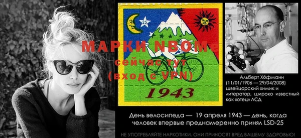 мдма Новодвинск