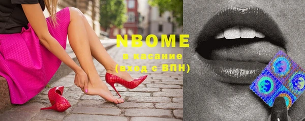 индика Новозыбков