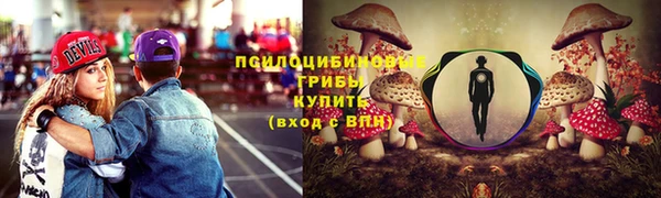 мет Нея
