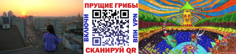 Псилоцибиновые грибы Cubensis  мега маркетплейс  Кяхта 