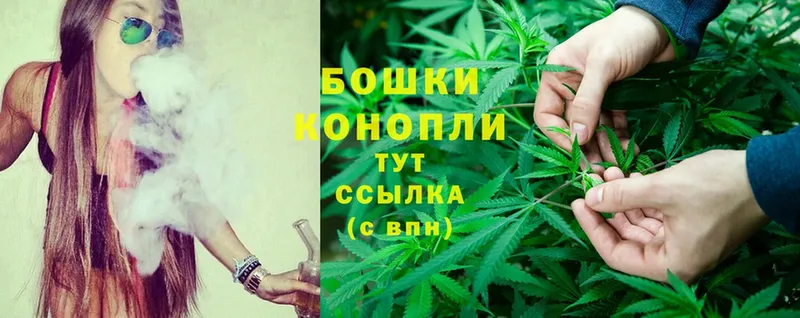 где купить   Кяхта  Шишки марихуана THC 21% 